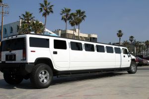 Limousine Insurance in Moscow, ID. 